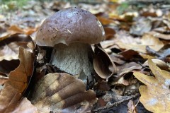 IMG_3475