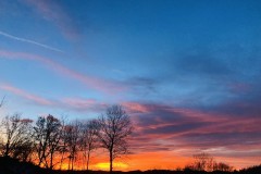 IMG_3819